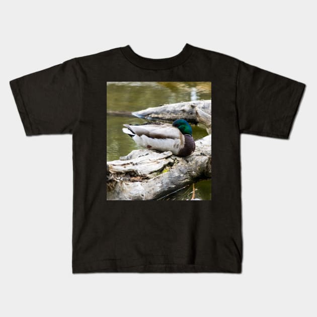 Mallard duck sleeping Kids T-Shirt by CanadianWild418